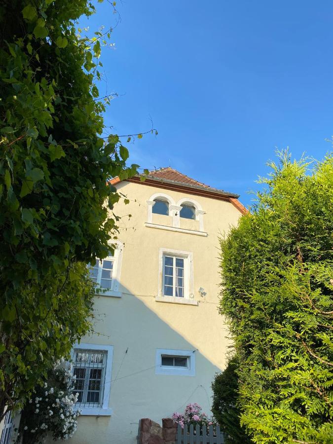 Schloss Hainfeld Dış mekan fotoğraf